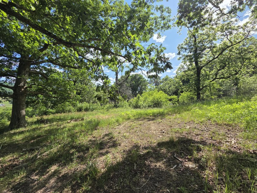 Bring your vision to life with this exceptional 10-acre tract - photo 11