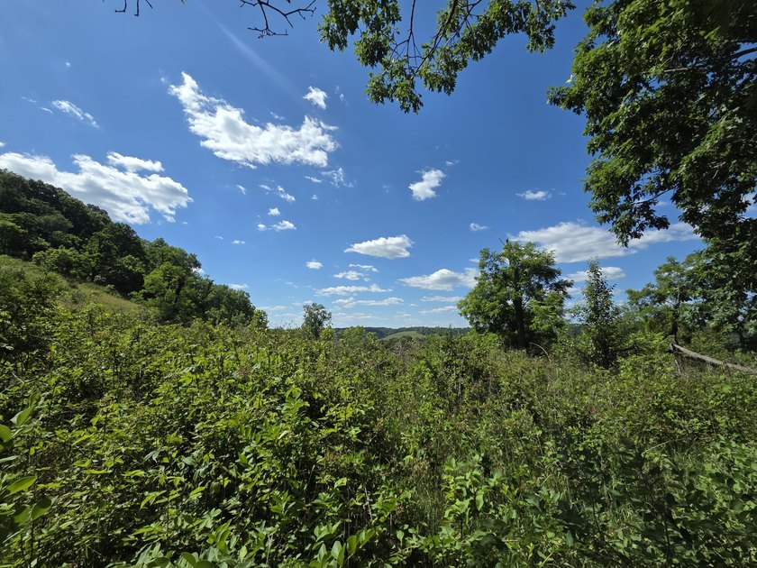 Bring your vision to life with this exceptional 10-acre tract - photo 13