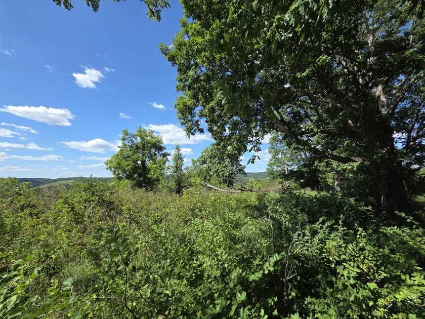 Bring your vision to life with this exceptional 10-acre tract - photo 14