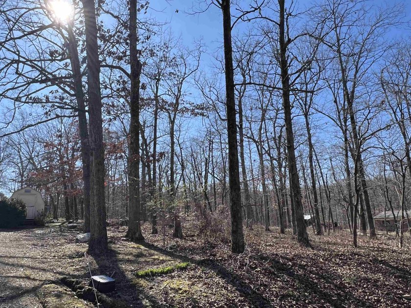 CHARMING COTTAGE IN 'SPRING RIVER COUNTRY' IN THE OZARKS! This 2 - photo 15
