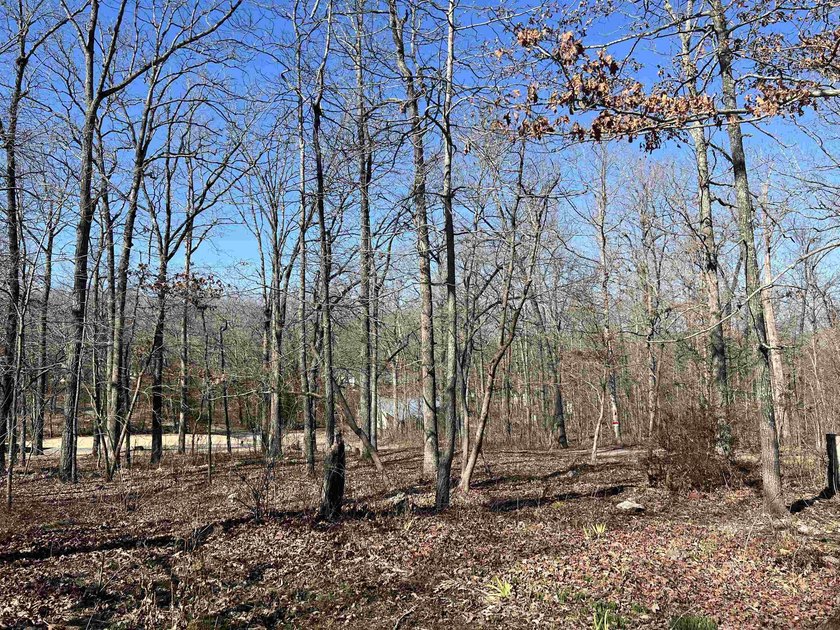 CHARMING COTTAGE IN 'SPRING RIVER COUNTRY' IN THE OZARKS! This 2 - photo 40