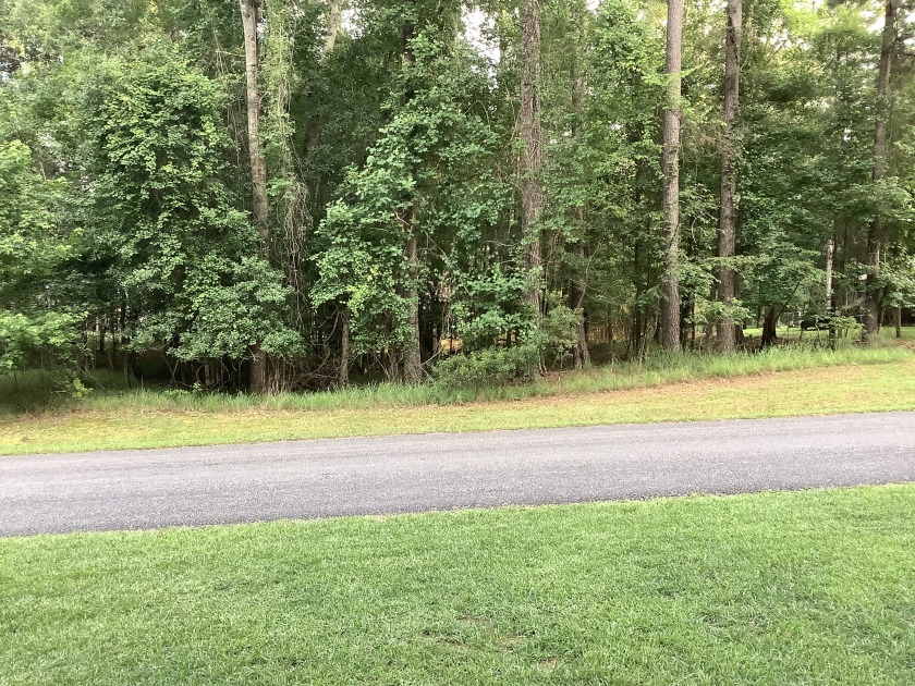 Beautiful Lot! Full of Potential! - photo 2