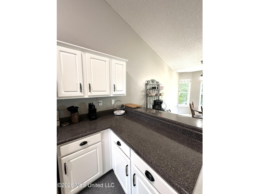 Very well-maintained low maintenance move in ready home. Home is - photo 14