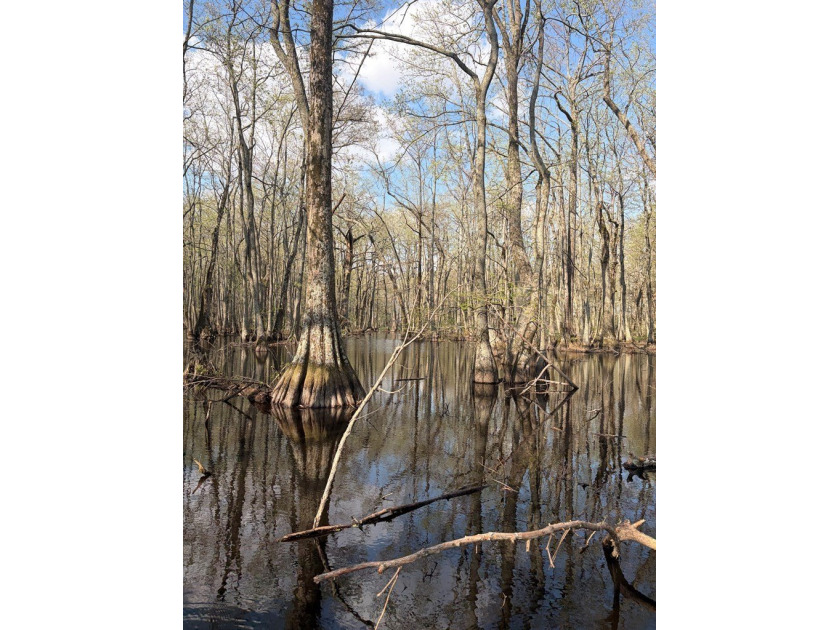 Lying in the heart of the Mississippi Delta, these Minter City - photo 3