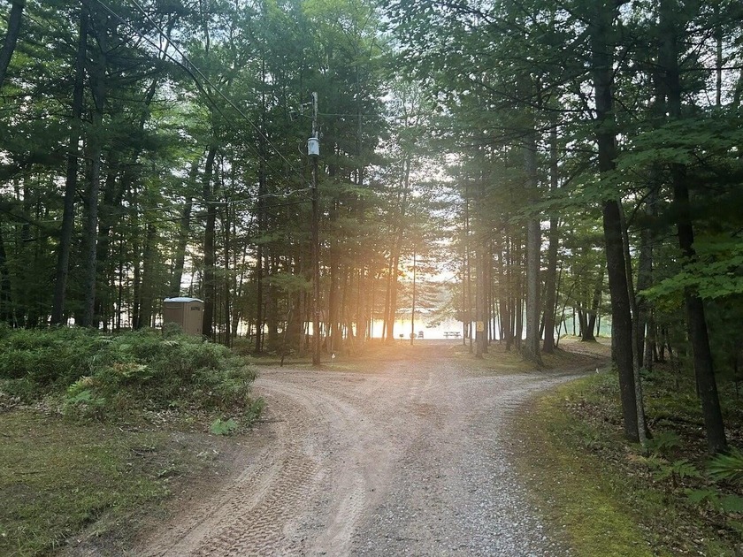 Two wooded, water-view lots being sold together in a beautiful N - photo 11