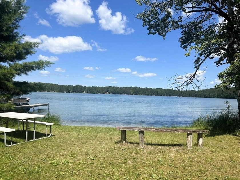Two wooded, water-view lots being sold together in a beautiful N - photo 18