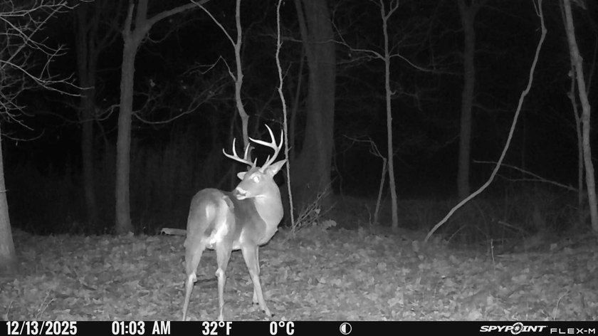 Great opportunity to own 14 acres of prime wooded hunting land - photo 14