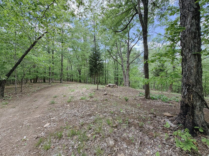 Great opportunity to own 14 acres of prime wooded hunting land - photo 19