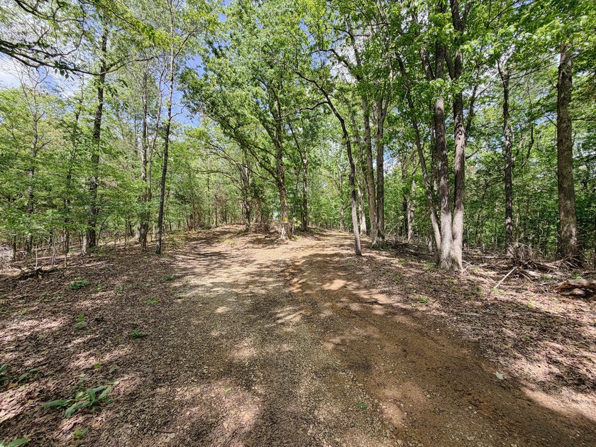 Great opportunity to own 14 acres of prime wooded hunting land - photo 20