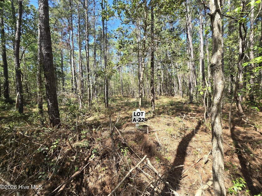 RARE OPPORTUNITY to acquire one, or all, 19 parcels in the heart - photo 2