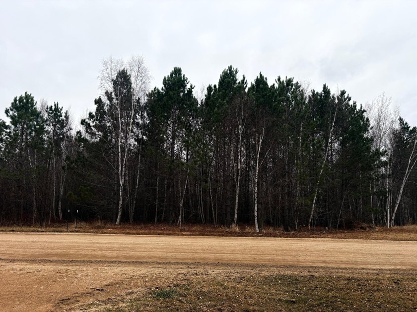The land is one block away from DNR access to Rainy River and - photo 2