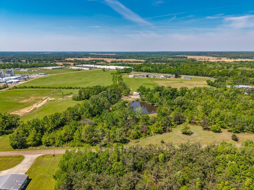 ?? Prime Land Opportunity - Noseff Dr, Batesville Discover the - photo 9