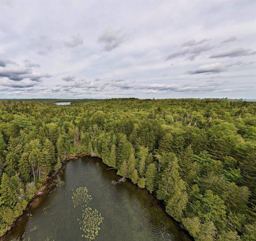 Not only does this property offer a serene spot to build your - photo 2