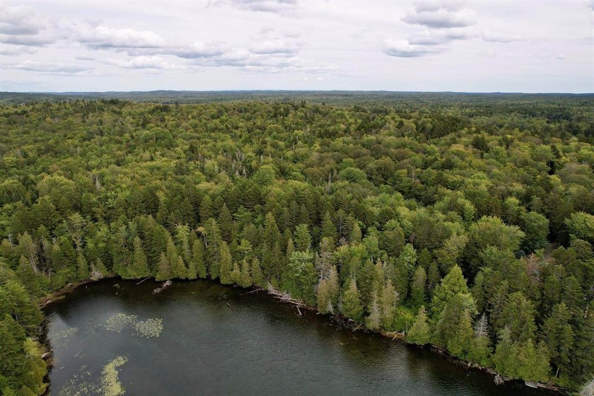 Not only does this property offer a serene spot to build your - photo 3