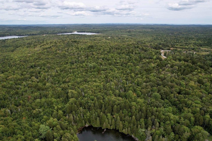 Not only does this property offer a serene spot to build your - photo 4