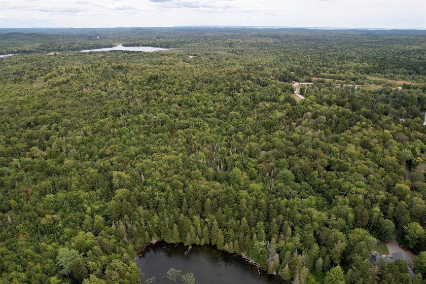 Not only does this property offer a serene spot to build your - photo 5