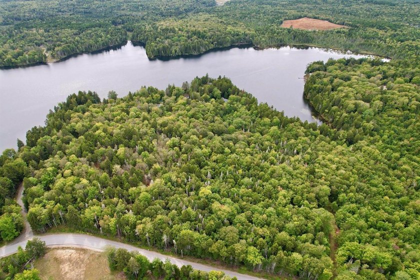 Not only does this property offer a serene spot to build your - photo 7