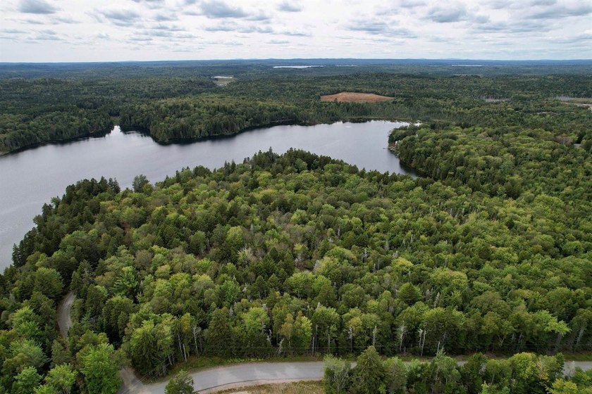 Not only does this property offer a serene spot to build your - photo 9