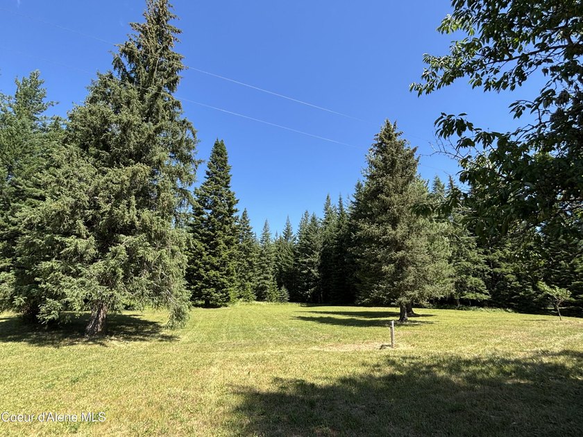 Delightful lakeside cabin on Idyllic 4.9 acres with convenient - photo 4