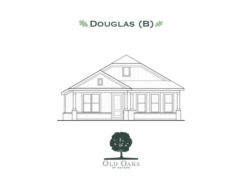 Popular Douglas B plan with 3 main level beds &amp; 2 full baths! - photo 2
