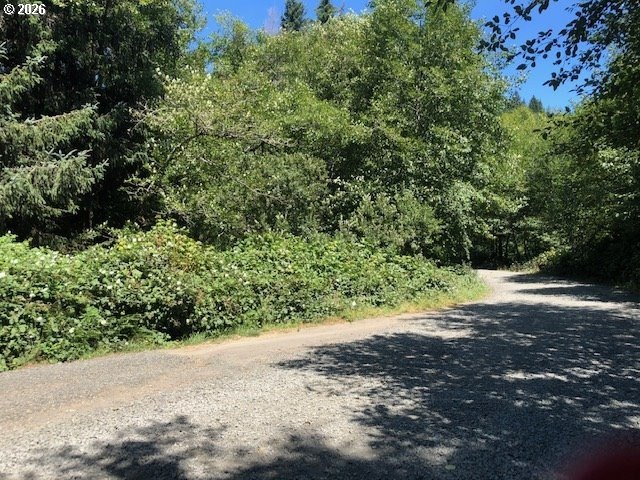Looking for your own piece of property located just outside of - photo 2