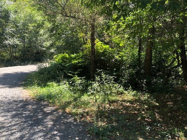 Looking for your own piece of property located just outside of - photo 3