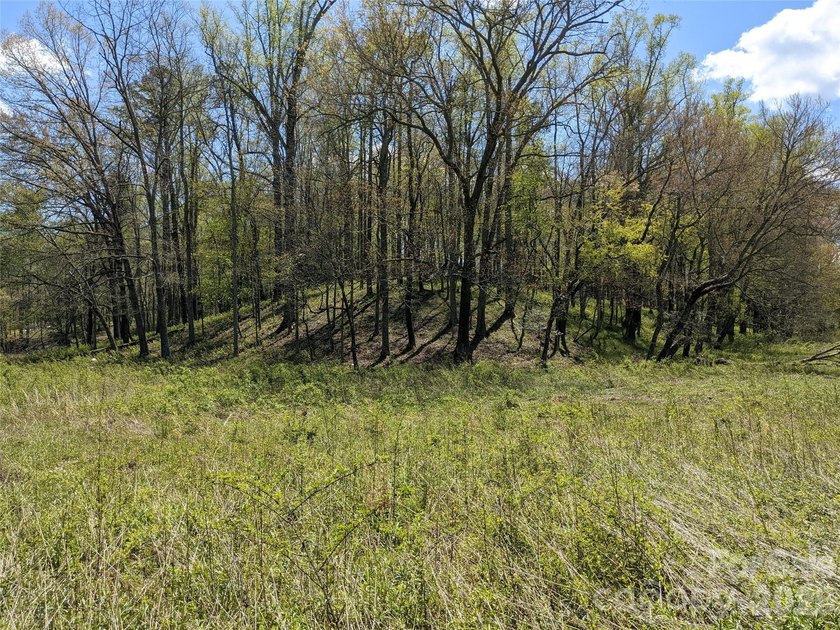 3.13 acres. 773 feet of stream frontage. Steps from the wellness - photo 11