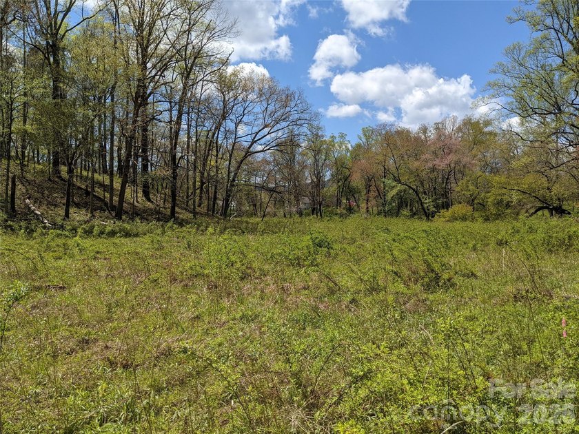 3.13 acres. 773 feet of stream frontage. Steps from the wellness - photo 12