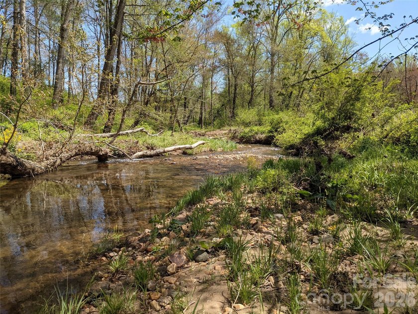 3.13 acres. 773 feet of stream frontage. Steps from the wellness - photo 13
