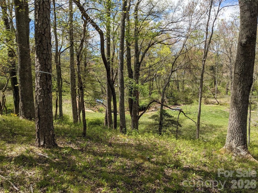 3.13 acres. 773 feet of stream frontage. Steps from the wellness - photo 14
