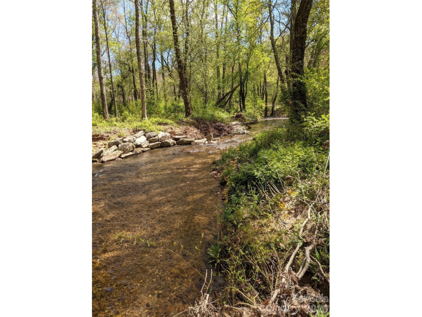 3.13 acres. 773 feet of stream frontage. Steps from the wellness - photo 16