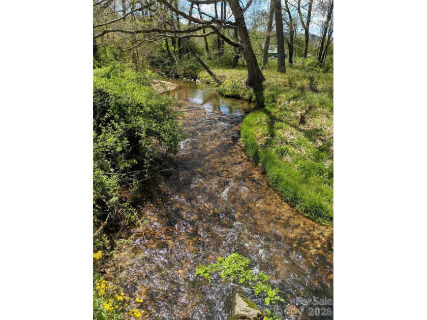 3.13 acres. 773 feet of stream frontage. Steps from the wellness - photo 17