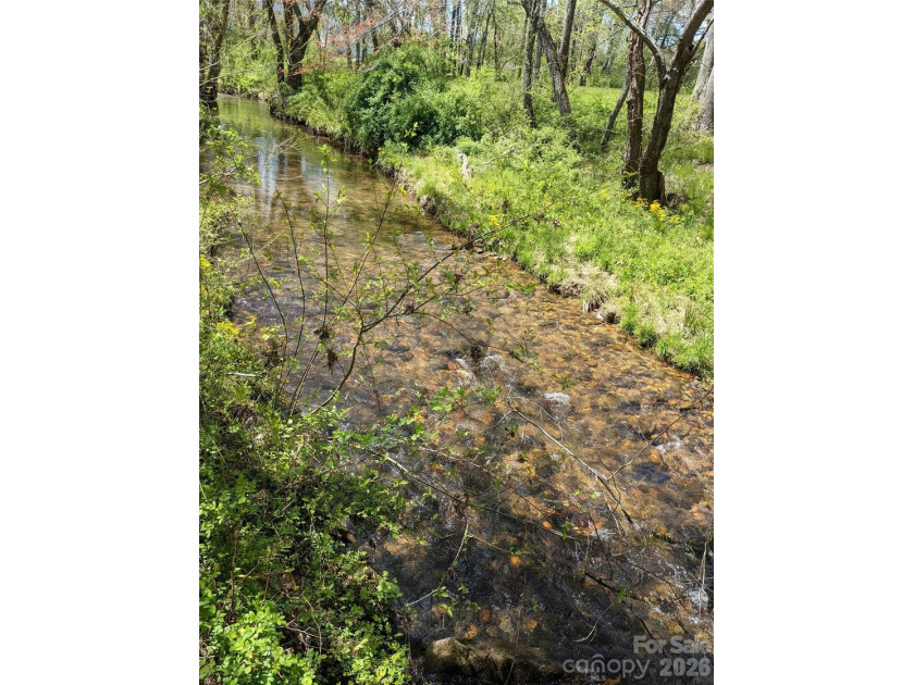 3.13 acres. 773 feet of stream frontage. Steps from the wellness - photo 18