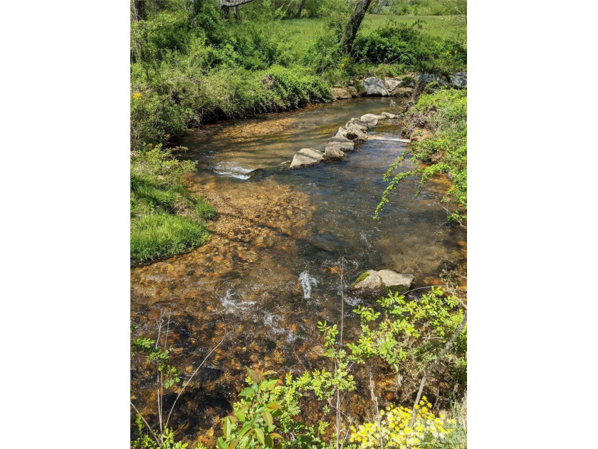 3.13 acres. 773 feet of stream frontage. Steps from the wellness - photo 19