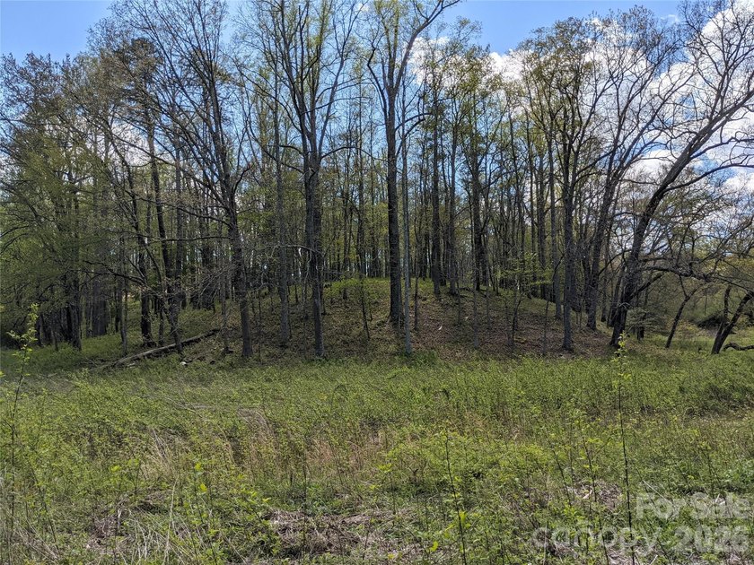 3.13 acres. 773 feet of stream frontage. Steps from the wellness - photo 21