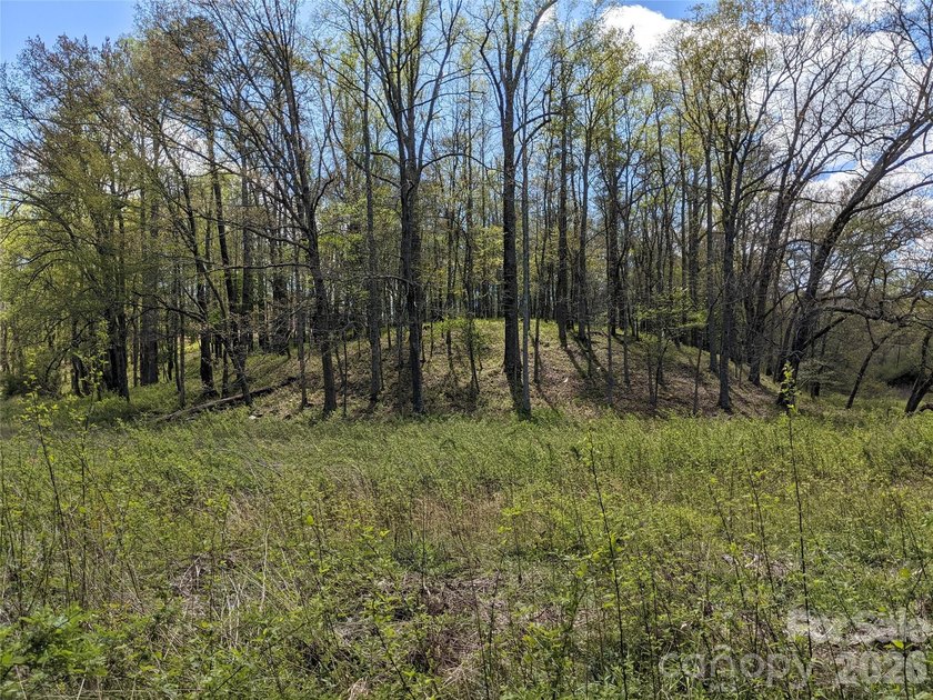 3.13 acres. 773 feet of stream frontage. Steps from the wellness - photo 23