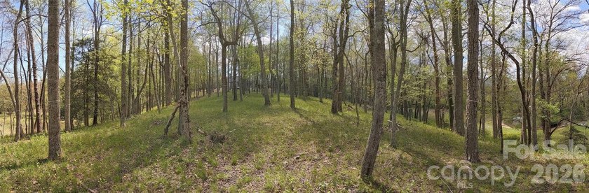 3.13 acres. 773 feet of stream frontage. Steps from the wellness - photo 24