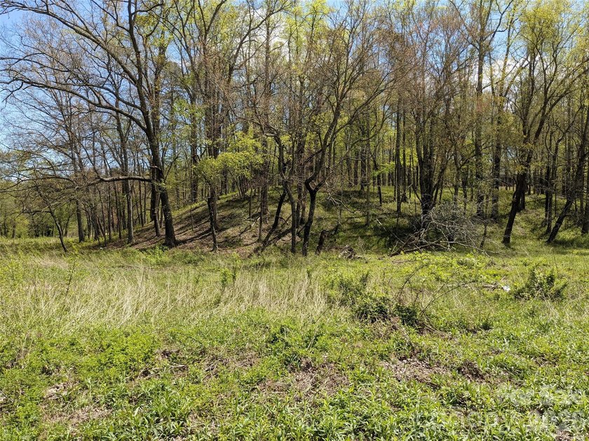 3.13 acres. 773 feet of stream frontage. Steps from the wellness - photo 25