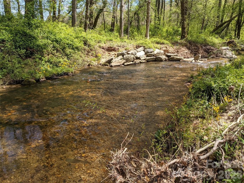 3.13 acres. 773 feet of stream frontage. Steps from the wellness - photo 26