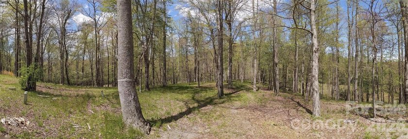 3.13 acres. 773 feet of stream frontage. Steps from the wellness - photo 28