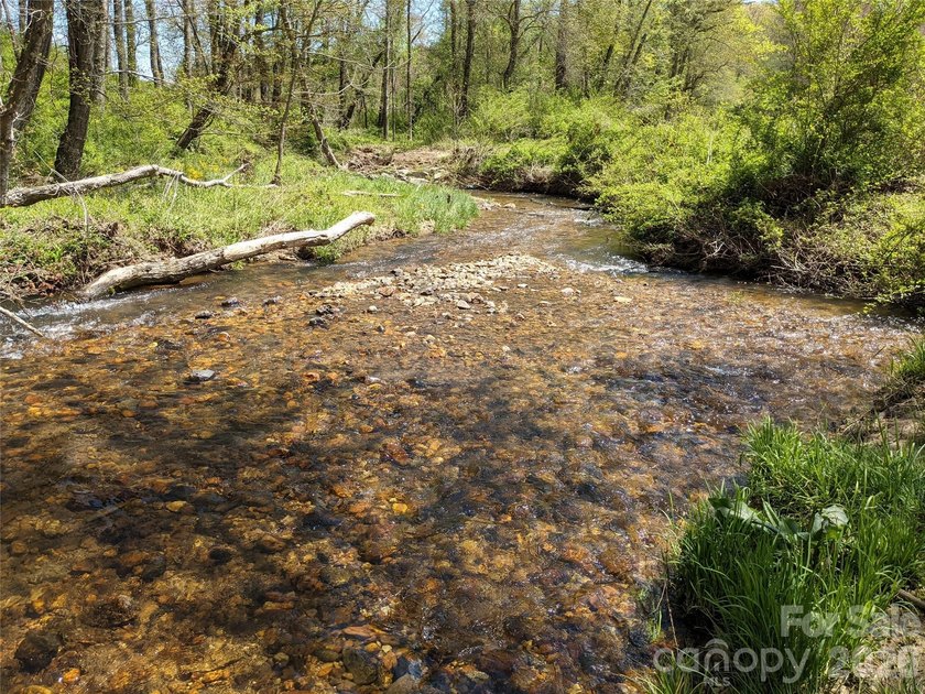 3.13 acres. 773 feet of stream frontage. Steps from the wellness - photo 29