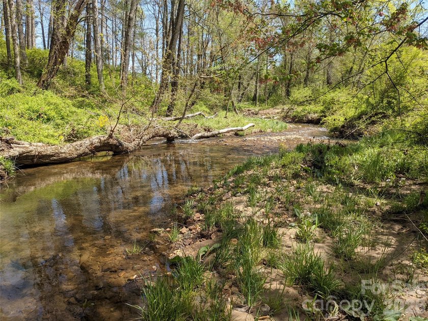 3.13 acres. 773 feet of stream frontage. Steps from the wellness - photo 30