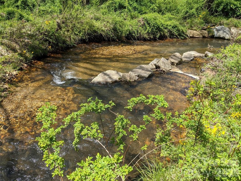 3.13 acres. 773 feet of stream frontage. Steps from the wellness - photo 32