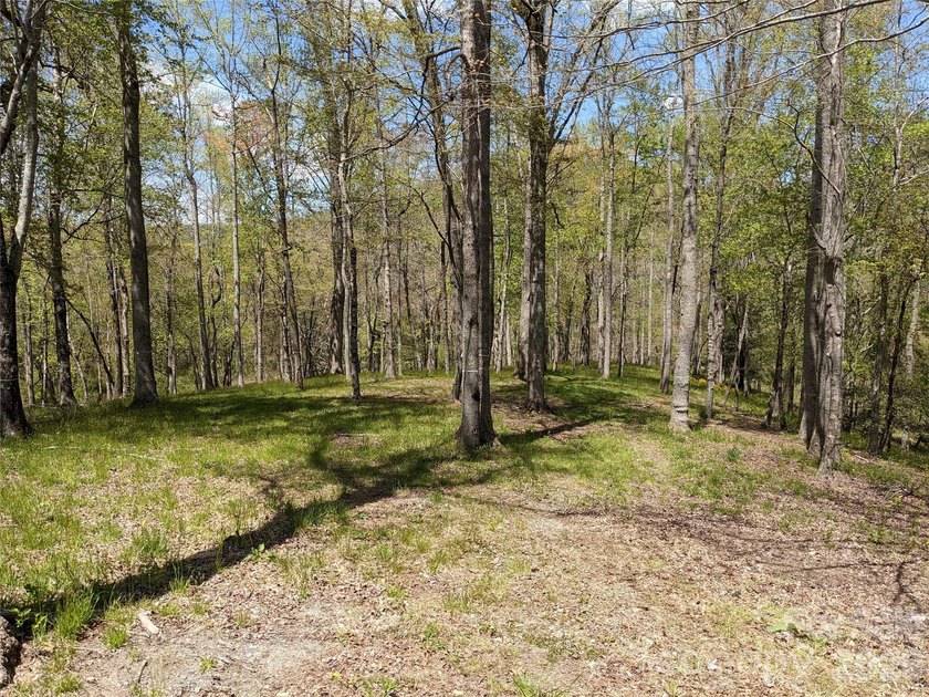 3.13 acres. 773 feet of stream frontage. Steps from the wellness - photo 38