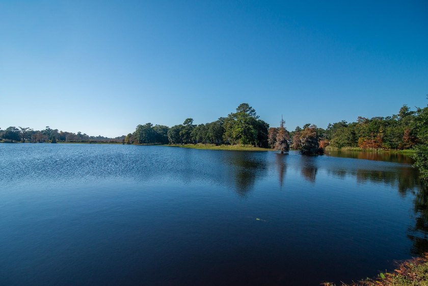117 Finch Dr. #272 offers a rare opportunity to enjoy the - photo 60