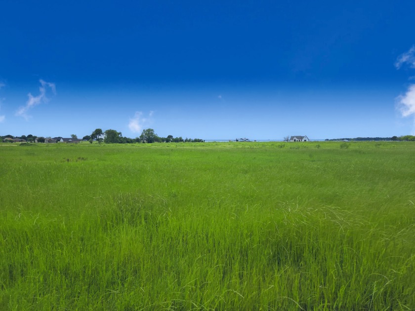 Beautiful 1.03 ac lot in Richland Cove, on Richland Chambers Lake - photo 37