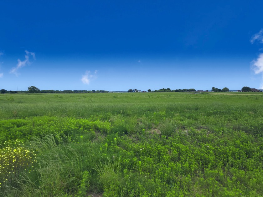 Beautiful 1.03 ac lot in Richland Cove, on Richland Chambers Lake - photo 17