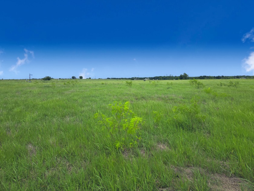 Beautiful 1.03 ac lot in Richland Cove, on Richland Chambers Lake - photo 35