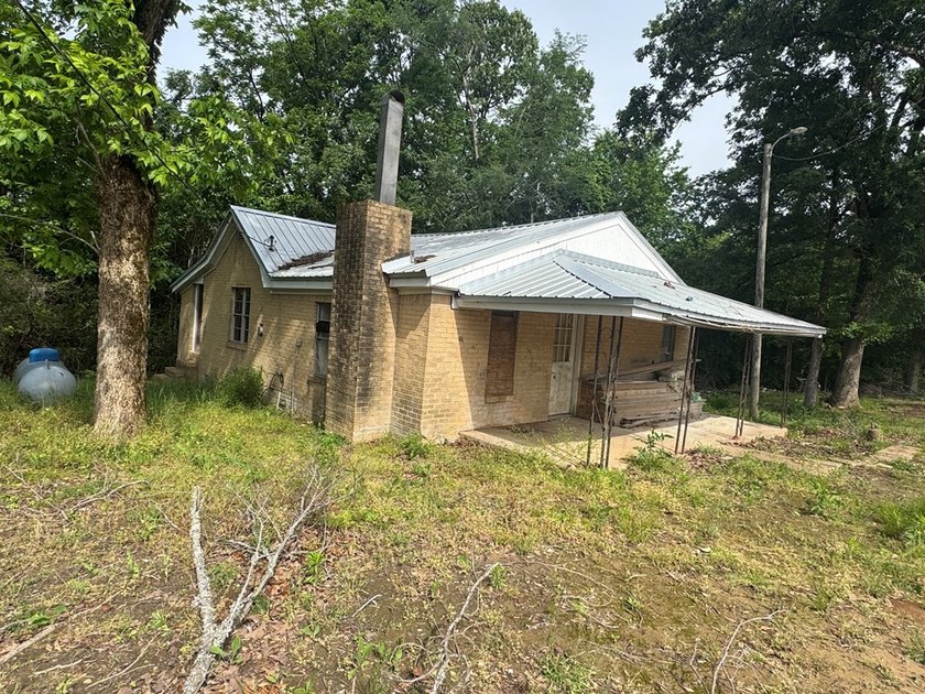 Located just north of Bruce, this 39 acre tract offers a strong - photo 2