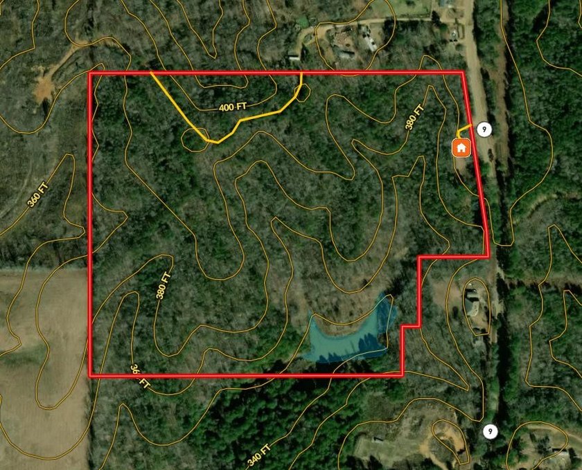 Located just north of Bruce, this 39 acre tract offers a strong - photo 4